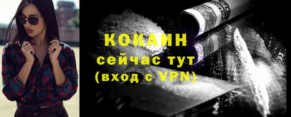 ешки Бронницы