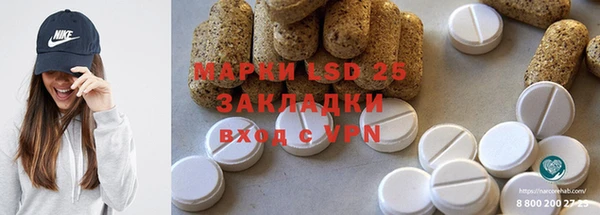 прущие грибы Бугульма