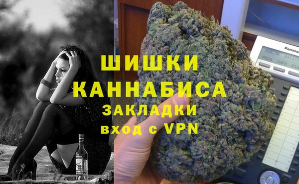прущие грибы Бугульма