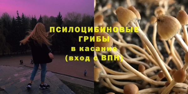 ешки Бронницы