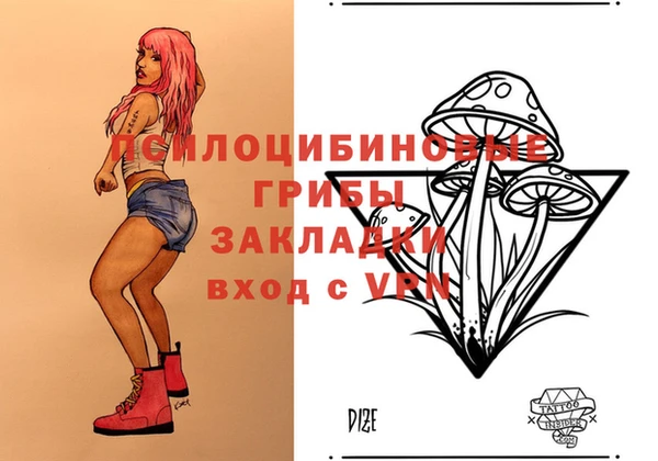 прущие грибы Бугульма