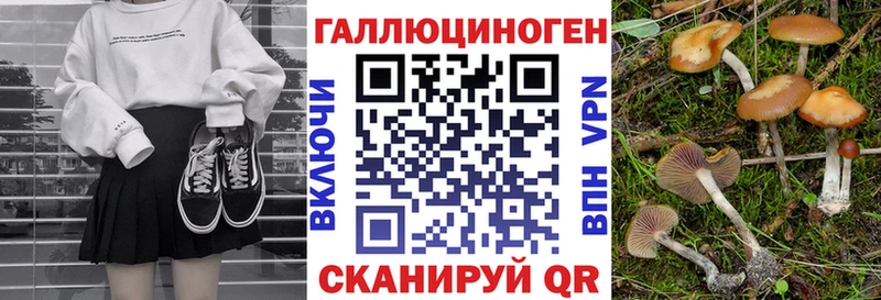 сколько стоит  Мещовск  Псилоцибиновые грибы мицелий 